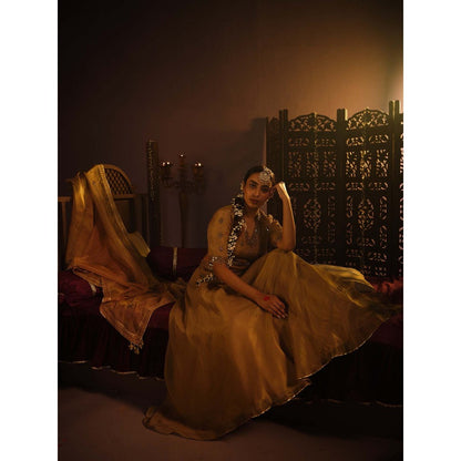 The Clothing Therapy Brown Lehenga with Blouse and Dupatta (Set of 3)