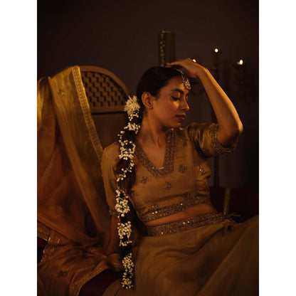 The Clothing Therapy Brown Lehenga with Blouse and Dupatta (Set of 3)