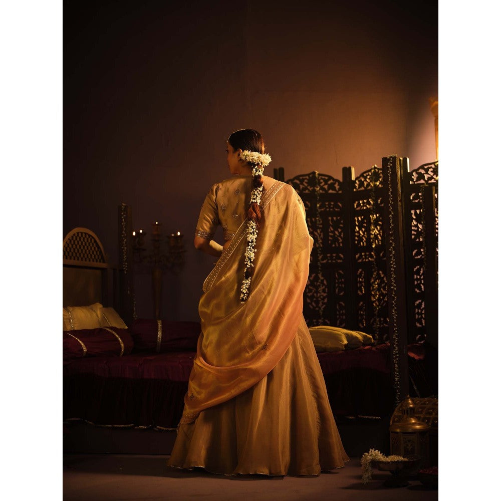 The Clothing Therapy Brown Lehenga with Blouse and Dupatta (Set of 3)