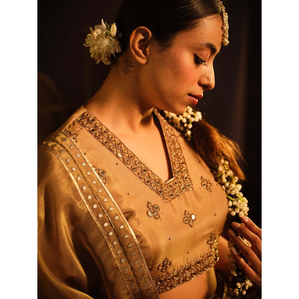 The Clothing Therapy Brown Lehenga with Blouse and Dupatta (Set of 3)