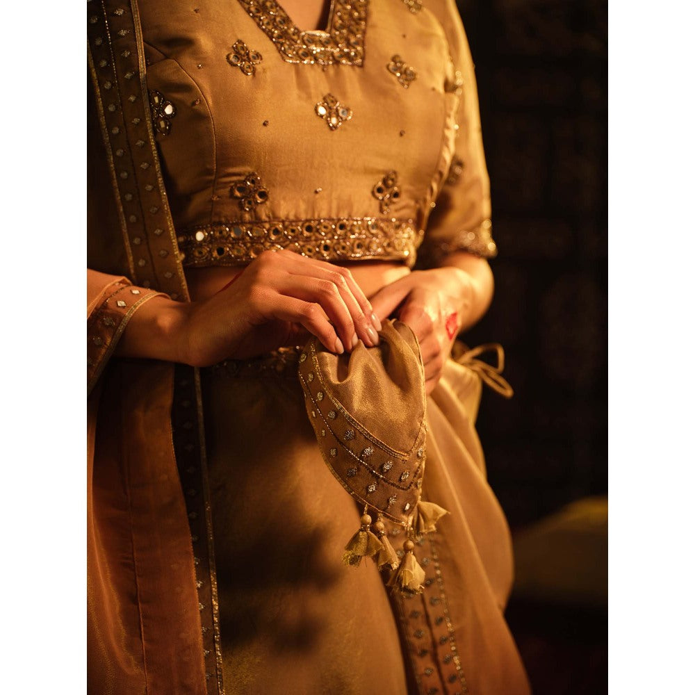 The Clothing Therapy Brown Lehenga with Blouse and Dupatta (Set of 3)