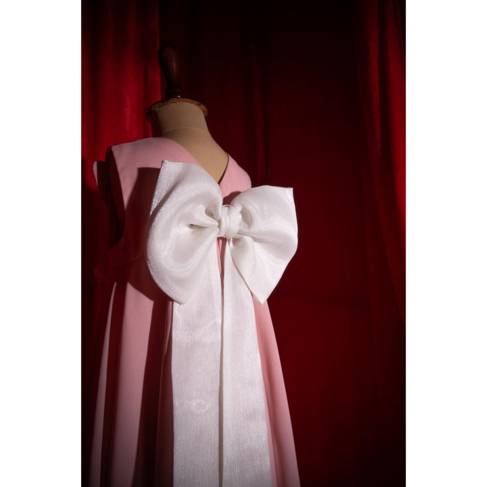 Tilsim by Sagarika Mehrotra Butterfly Blush Dress