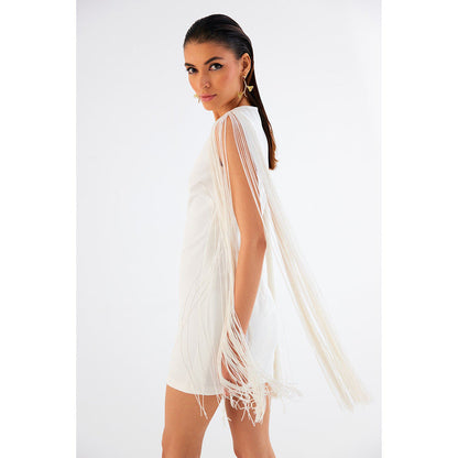 TISHARTH BY SHIVANI Mini Fringe Dress
