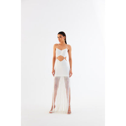 TISHARTH BY SHIVANI Mini Fringe Dress