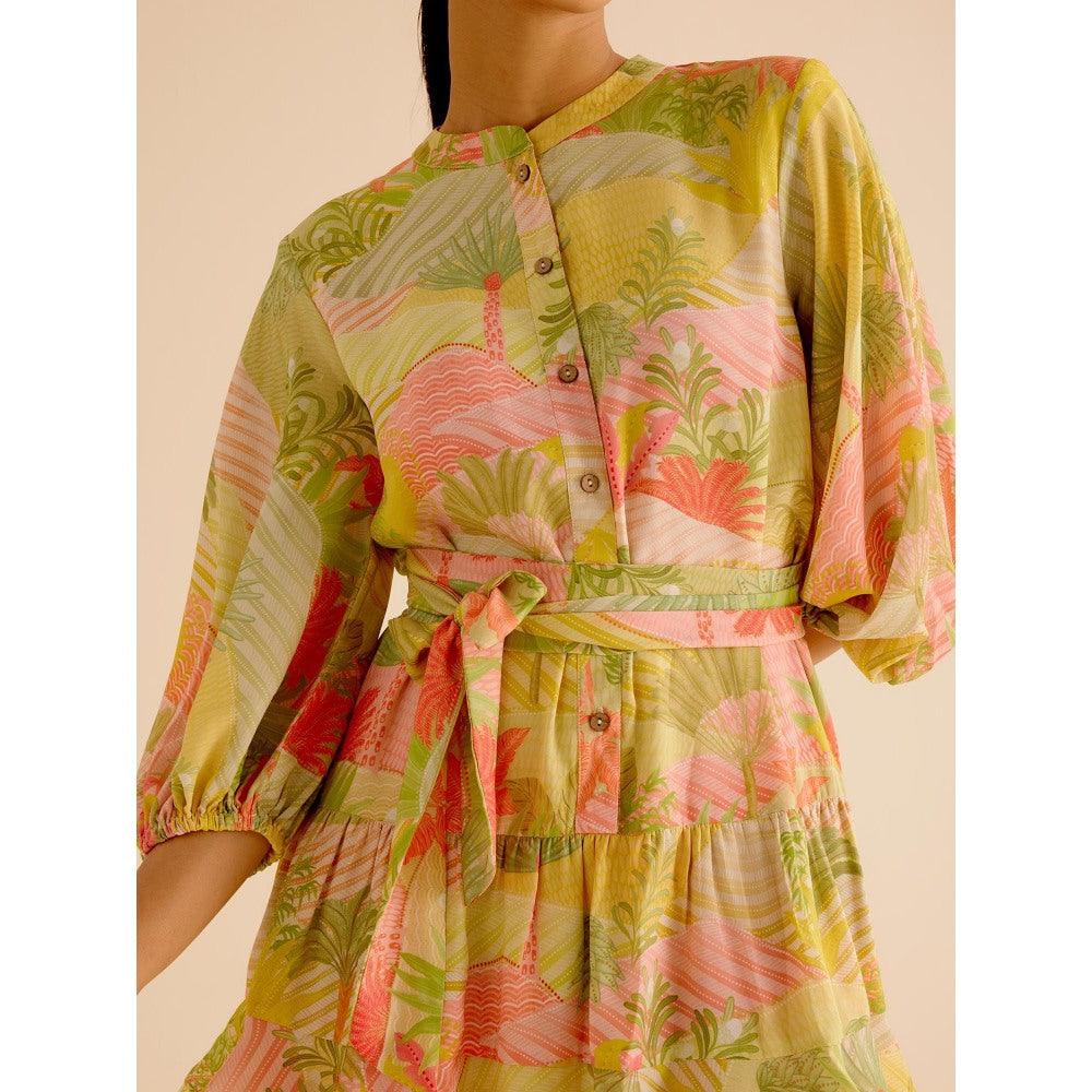 TRISARA Multicoloured Wildflower Layered Dress with Belt (Set of 2)