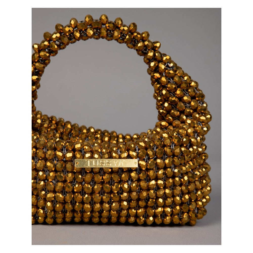 Tussya by Shreya by Shreya Gossamer - Crystal Handbag