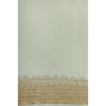 "Two Sisters" by Gyans Powder Blue Hand Embroidered Sequins Work Saree With Stitched Blouse