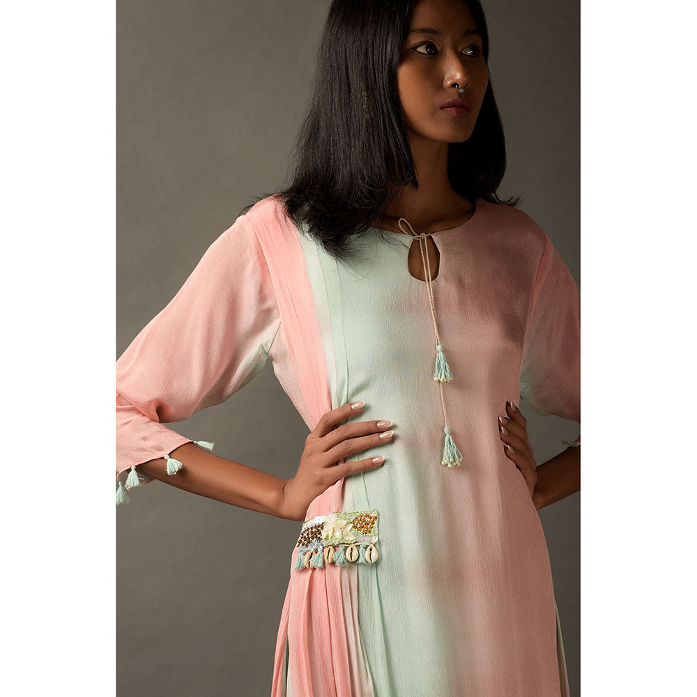 "Two Sisters" by Gyans Pastel Pink & Blue Georgette Embroidered Draped Dress