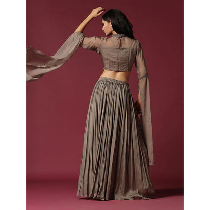 "Two Sisters" by Gyans Grey Hand Embroidered Crop Top & Skirt (Set of 2)