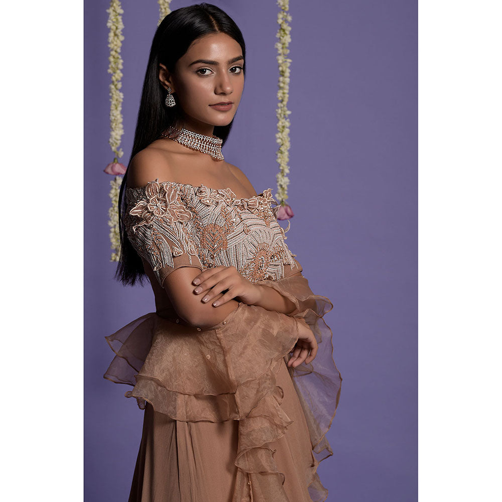 "Two Sisters" by Gyans Brown Georgette Blouse & Lehenga with Dupatta (Set of 3)