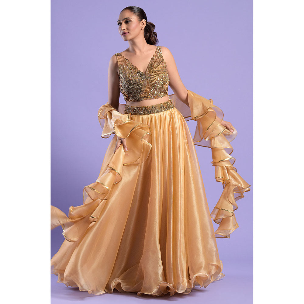 "Two Sisters" by Gyans Shaded Gold Crop Top with Dupatta & Skirt (Set of 3)