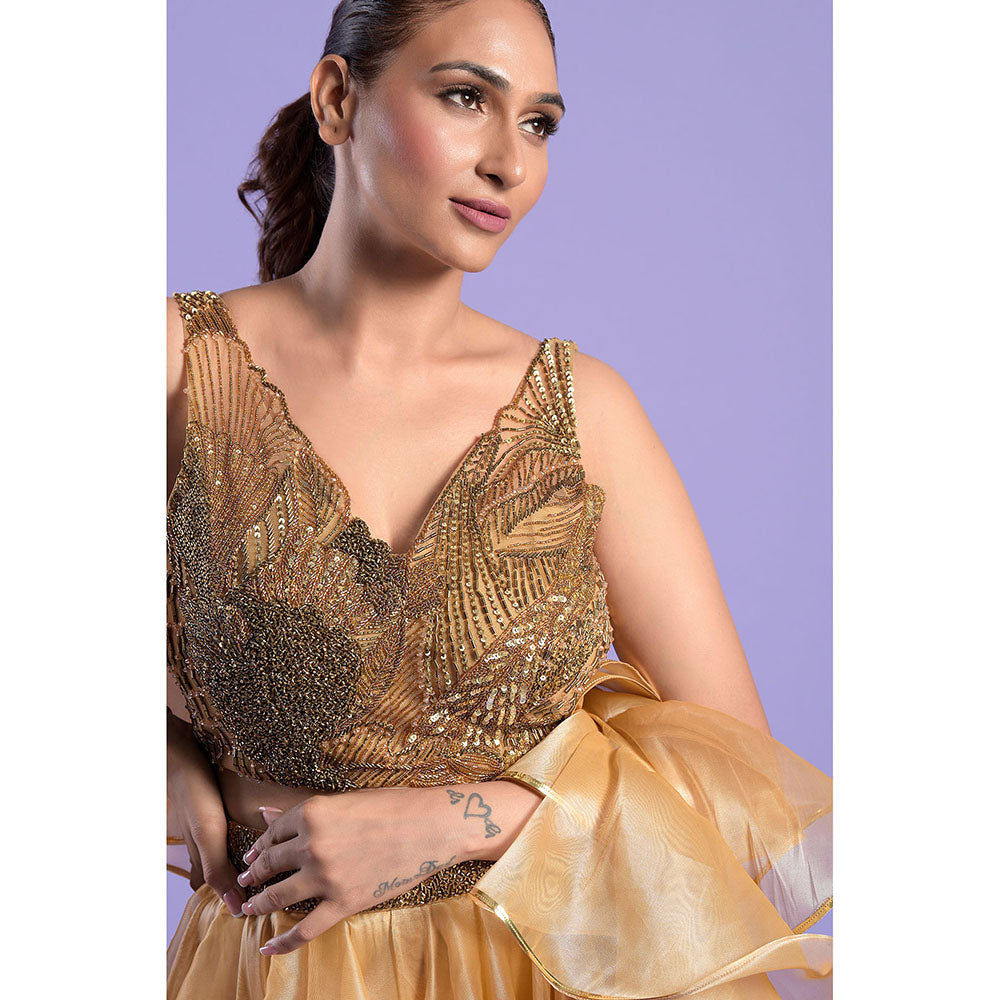 "Two Sisters" by Gyans Shaded Gold Crop Top with Dupatta & Skirt (Set of 3)