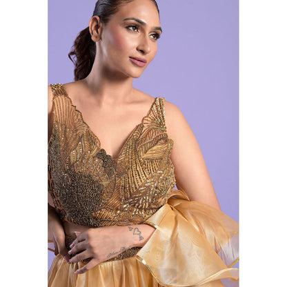 "Two Sisters" by Gyans Shaded Gold Crop Top with Dupatta & Skirt (Set of 3)