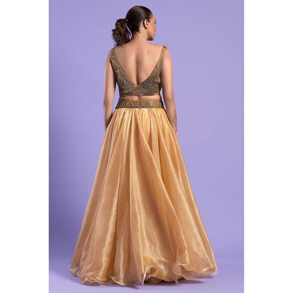 "Two Sisters" by Gyans Shaded Gold Crop Top with Dupatta & Skirt (Set of 3)