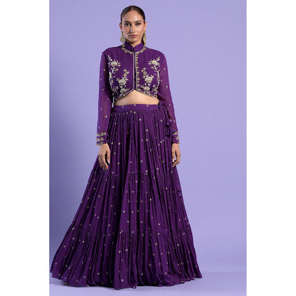"Two Sisters" by Gyans Deep Purple Embellished Blouse & Lehenga with Dupatta (Set of 3)