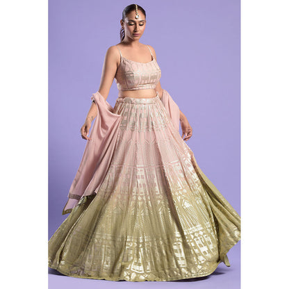 "Two Sisters" by Gyans Nude Pink Ombre Organza Blouse & Lehenga with Dupatta (Set of 3)