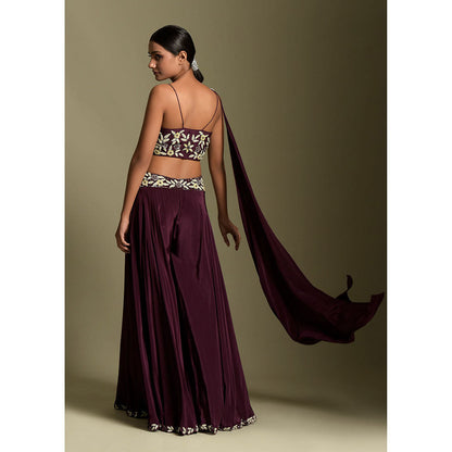 "Two Sisters" by Gyans Wine Crepe Crop Top & Palazzo (Set of 2)