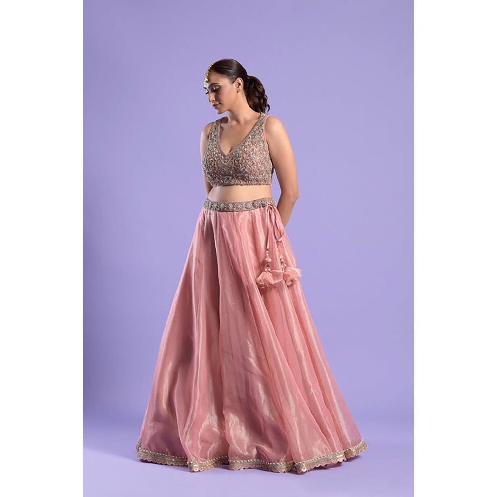 "Two Sisters" by Gyans Pink Zardozi And Woven Tissue Lehenga Set