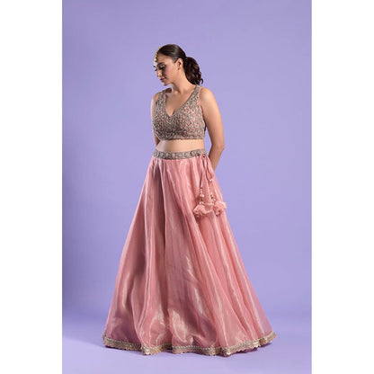 "Two Sisters" by Gyans Pink Zardozi And Woven Tissue Lehenga Set