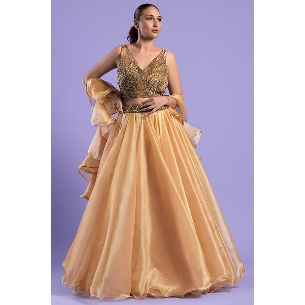 "Two Sisters" by Gyans Gold Organza Embroidered Sleeveless Lehenga With Blouse And Dupatta