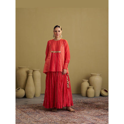 Vaaya The Alta Red Silk Chanderi and Banarasi Top with Handwork