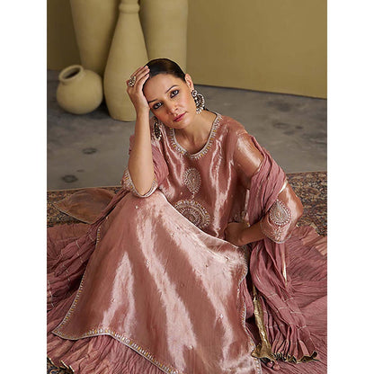 Vaaya The Rose Pink Banarasi Tissue and Silk Chanderi Kalidaar Kurta