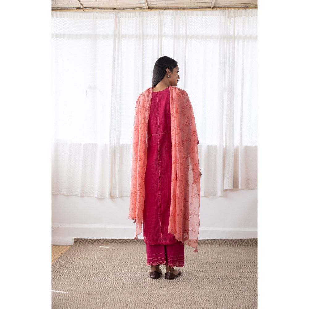 Vaayu Camellia Applique Kurta with Pant & Dupatta (Set of 3)