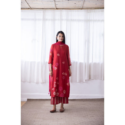 Vaayu Camellia Floral Applique Kurta with Pant & Dupatta (Set of 3)