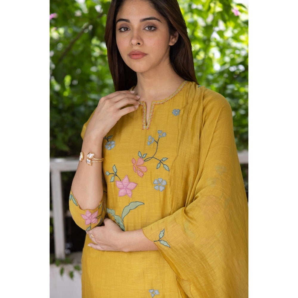 Vaayu Honeycomb Applique Kurta with Pant & Dupatta (Set of 3)