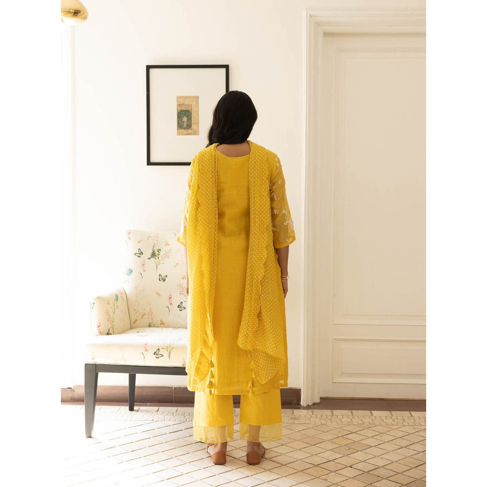 Vaayu Rue Floral Kurta with Pant and Dupatta (Set of 3)