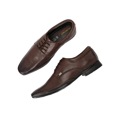 Valentino Men Premium Leather Brown Lace-Up Formal Derby Shoes