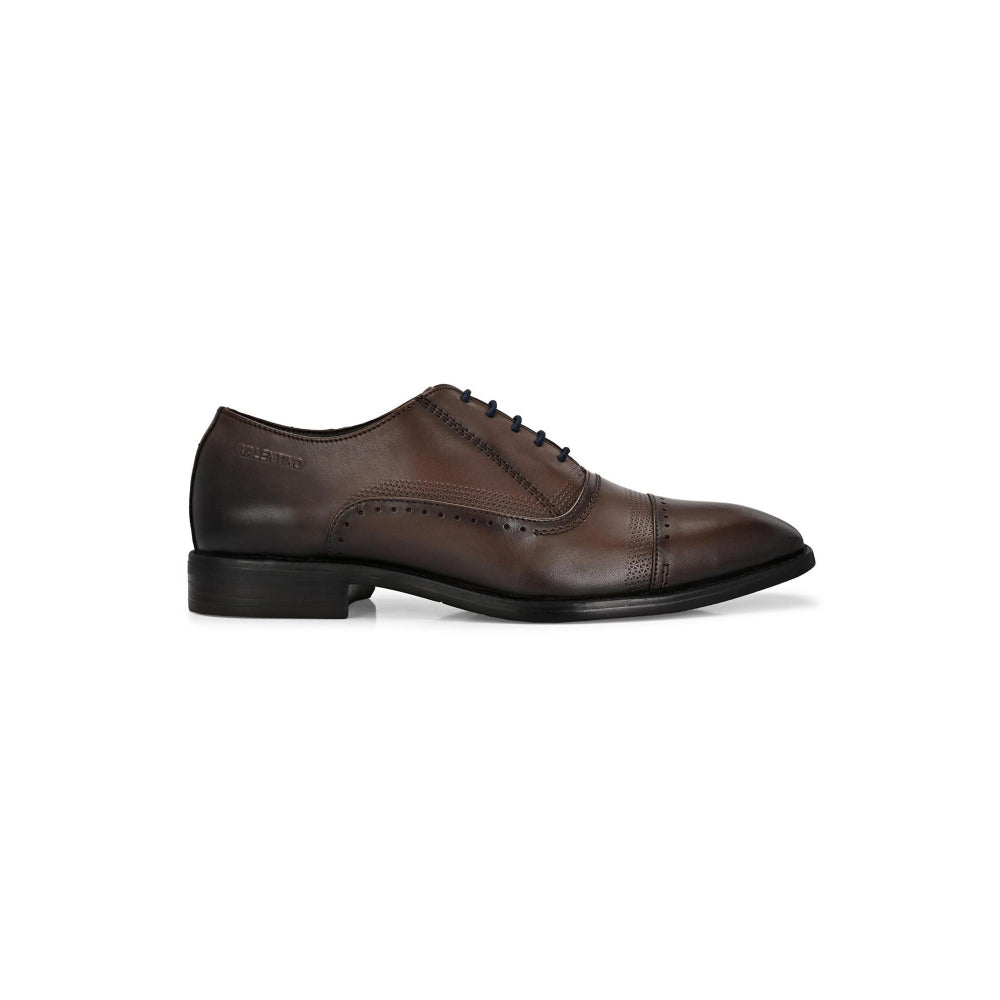 Valentino Men Premium Leather Brown Lace-Up Formal Derby Shoes