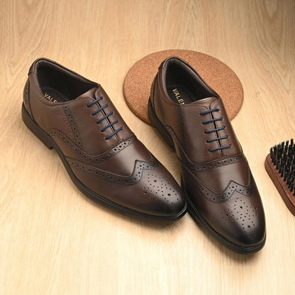 Valentino Men Premium Leather Brown Brogue Formal Shoes