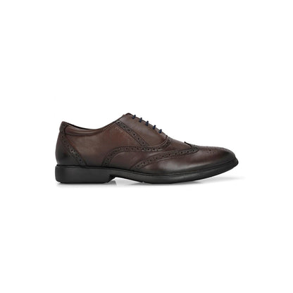 Valentino Men Premium Leather Brown Brogue Formal Shoes