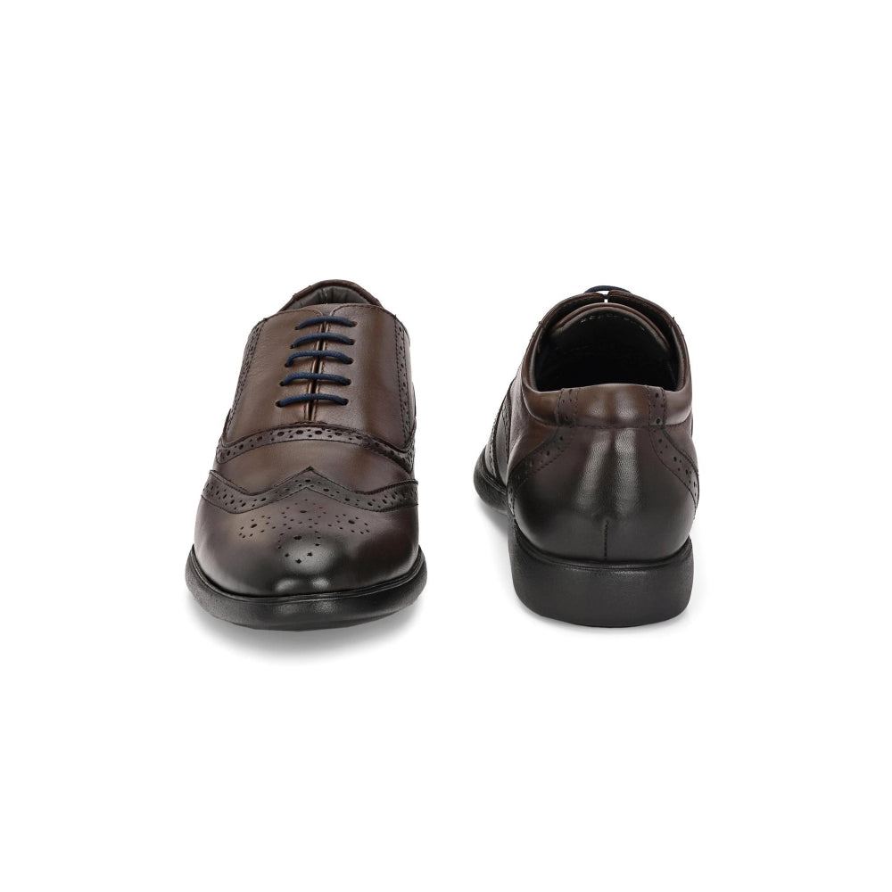 Valentino Men Premium Leather Brown Brogue Formal Shoes