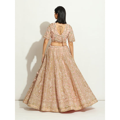 VANDANA SETHI Pink Organza Lehenga with Zardozi and Pipe Work (Set of 3)
