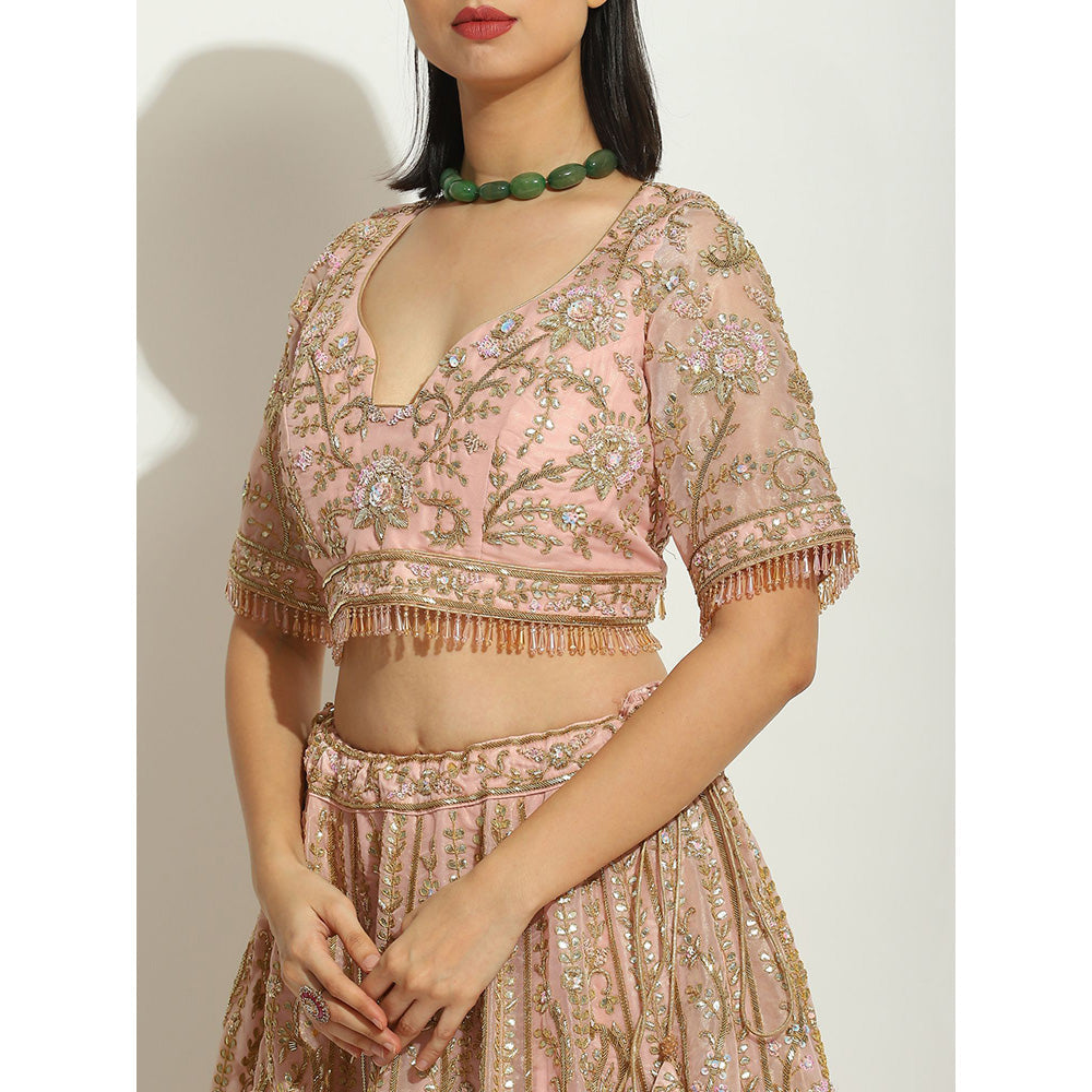 VANDANA SETHI Pink Organza Lehenga with Zardozi and Pipe Work (Set of 3)