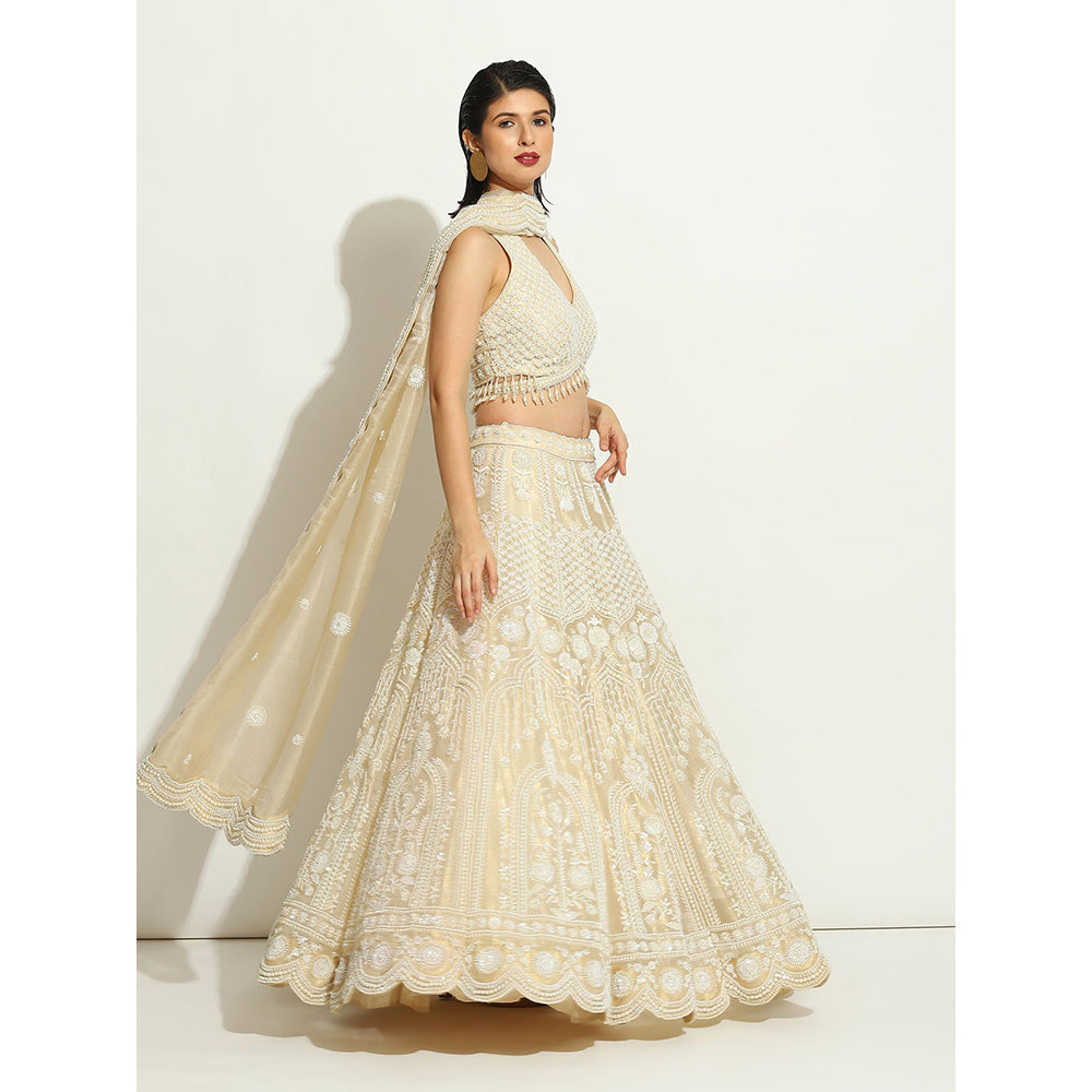 VANDANA SETHI Pearl Work Lehenga in Shimmer Organza (Set of 3)