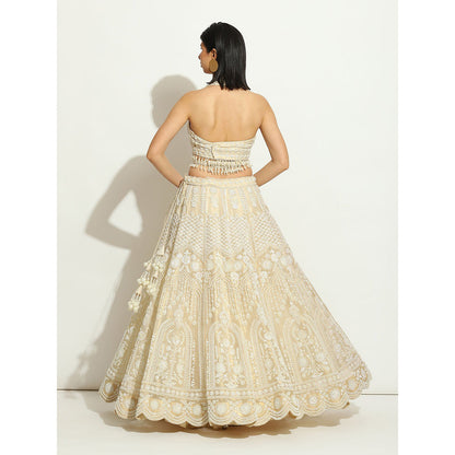 VANDANA SETHI Pearl Work Lehenga in Shimmer Organza (Set of 3)