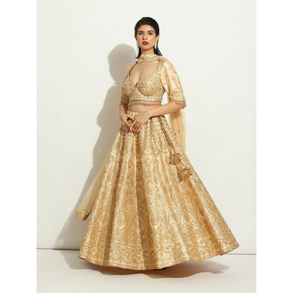 VANDANA SETHI Light Gold Sequin Work Lehenga in an Ivory Shimmer Raw Silk (Set of 3)