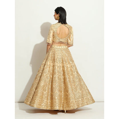 VANDANA SETHI Light Gold Sequin Work Lehenga in an Ivory Shimmer Raw Silk (Set of 3)