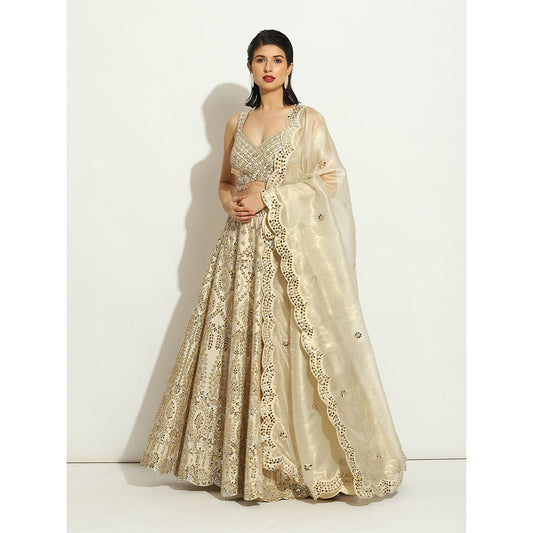 VANDANA SETHI Mirror Work Lehenga with a Scalloped Dupatta in Organza (Set of 3)