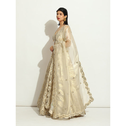 VANDANA SETHI Mirror Work Lehenga with a Scalloped Dupatta in Organza (Set of 3)