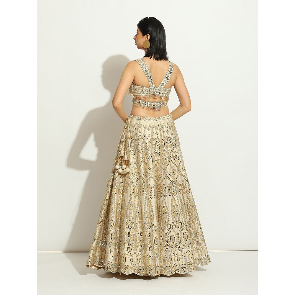 VANDANA SETHI Mirror Work Lehenga with a Scalloped Dupatta in Organza (Set of 3)