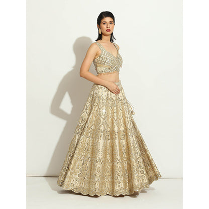 VANDANA SETHI Mirror Work Lehenga with a Scalloped Dupatta in Organza (Set of 3)