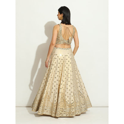 VANDANA SETHI Ivory Shimmer Lehenga in Raw Silk with a Sleeveless Blouse (Set of 3)