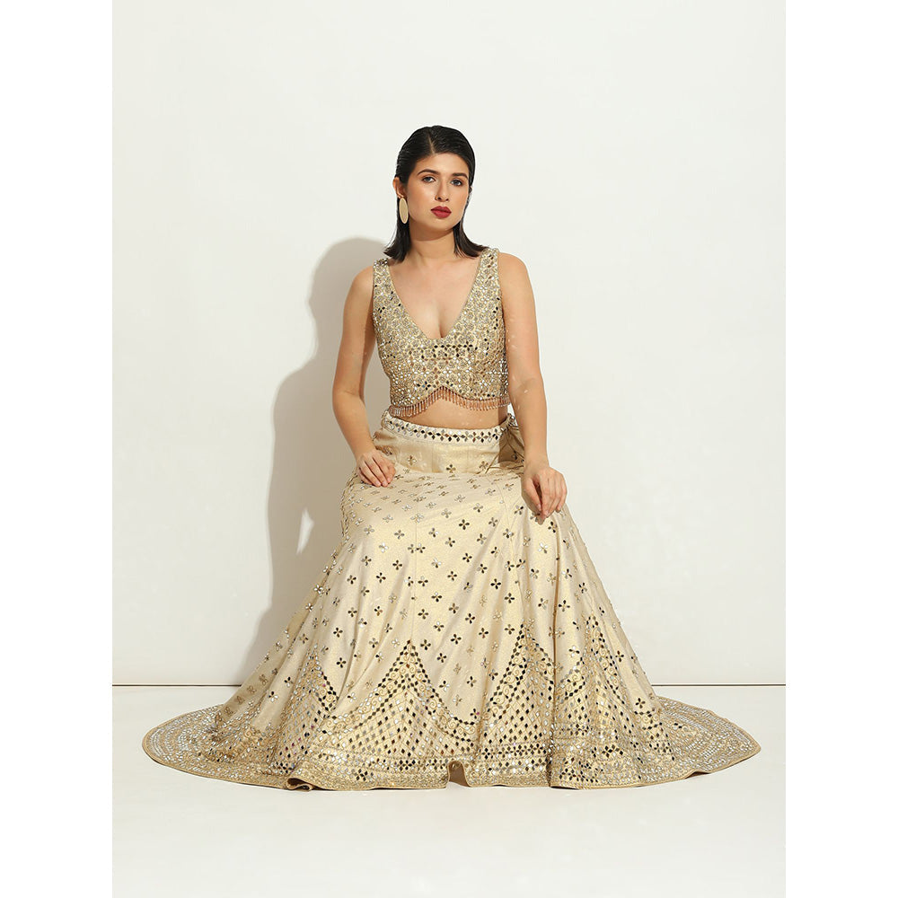 VANDANA SETHI Ivory Shimmer Lehenga in Raw Silk with a Sleeveless Blouse (Set of 3)
