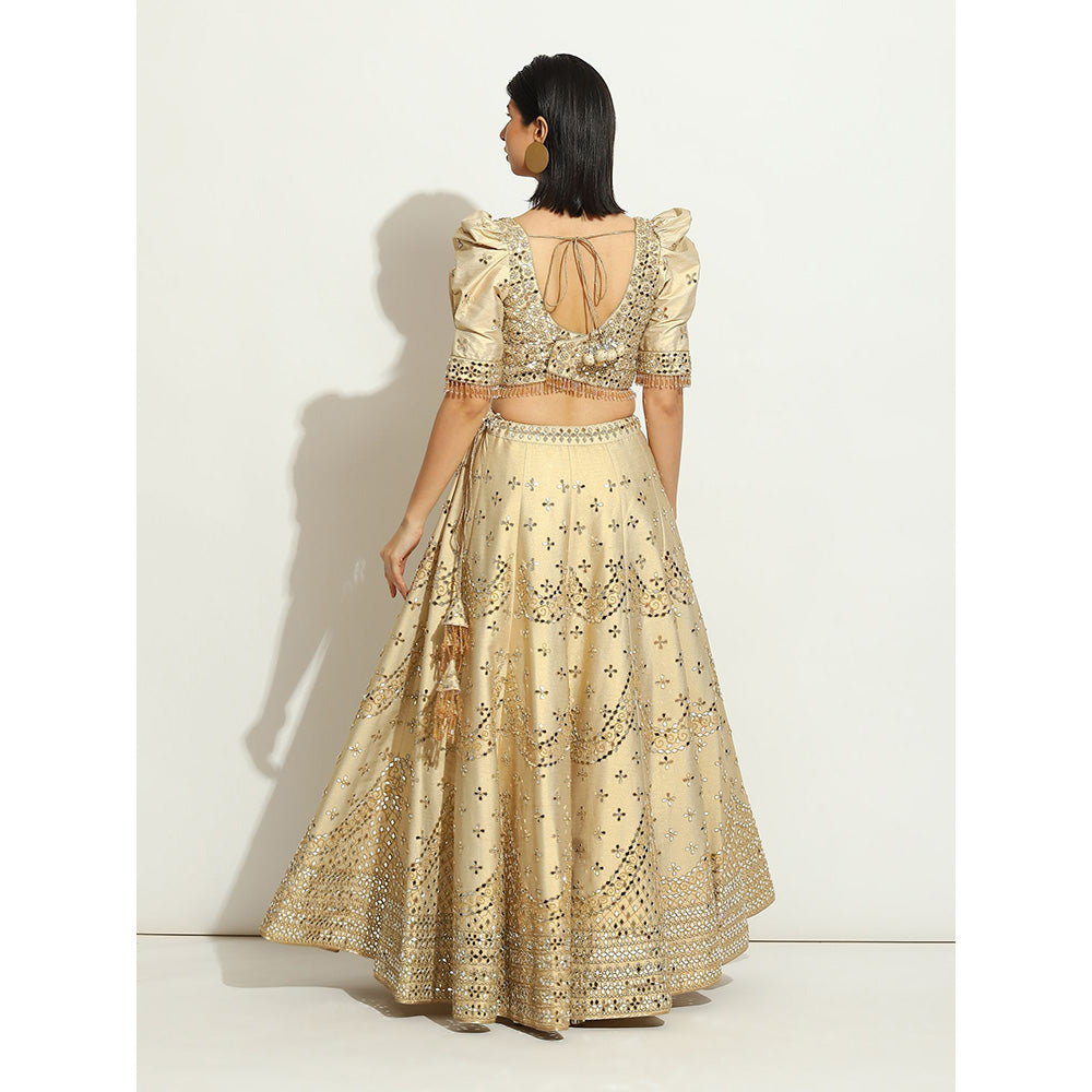VANDANA SETHI Mirror Work Lehenga on an Ivory Shimmer Raw Silk (Set of 3)