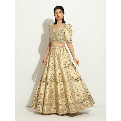 VANDANA SETHI Mirror Work Lehenga on an Ivory Shimmer Raw Silk (Set of 3)