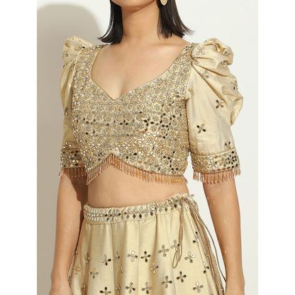 VANDANA SETHI Mirror Work Lehenga on an Ivory Shimmer Raw Silk (Set of 3)